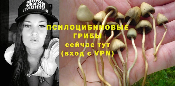 меф Вяземский