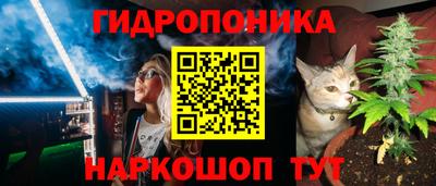 твердый Гатчина
