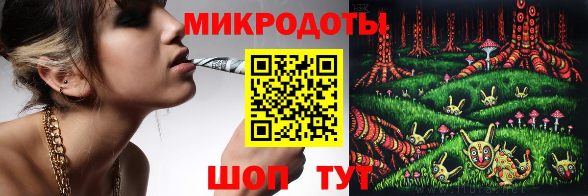 Галлюциногенные грибы Psilocybe Наро-Фоминск