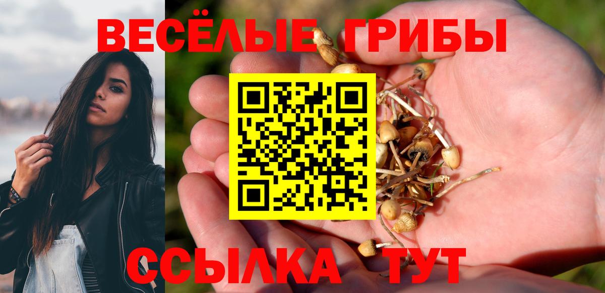 Галлюциногенные грибы GOLDEN TEACHER Наро-Фоминск