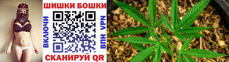 Каннабис THC 21%  Купить закладки  Наро-Фоминск 